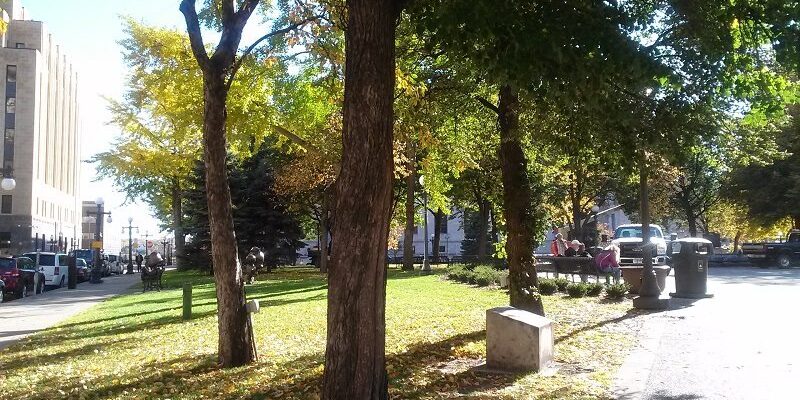 Rice Park