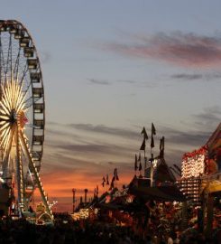 Houston Livestock Show & Rodeo