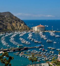 Catalina Island