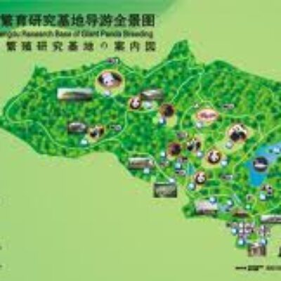 Chengdu Research Base of Giant Panda Breeding