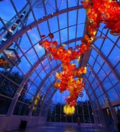 Chihuly Garden and Glass