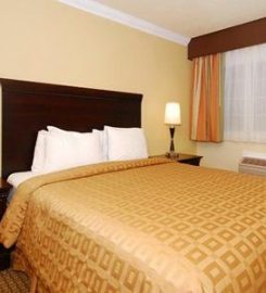 Clarion Hotel