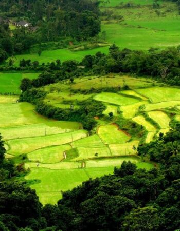 Coorg