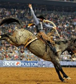 Houston Livestock Show & Rodeo