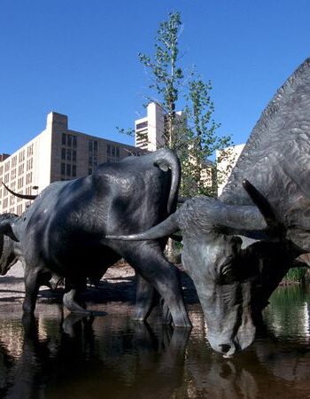 Pioneer Plaza