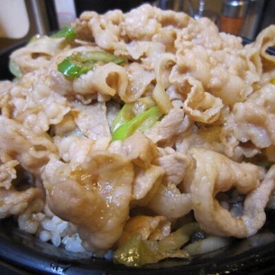 Densetsu no Sutadonya