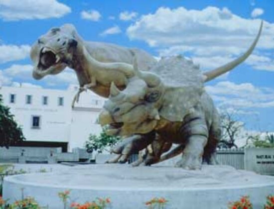 Natural History Museum of Los Angeles County