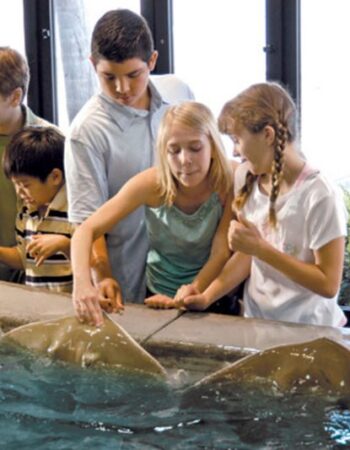 Downtown Aquarium
