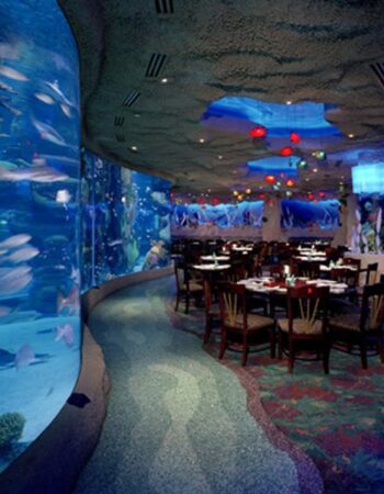 Downtown Aquarium