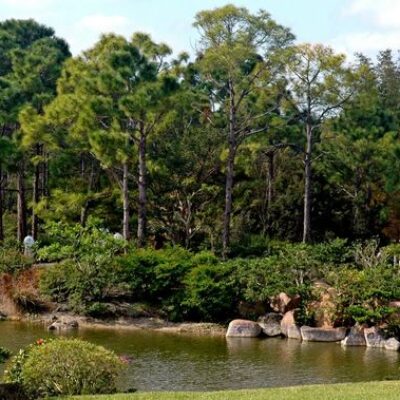 Morikami Museum and Japanese Gardens