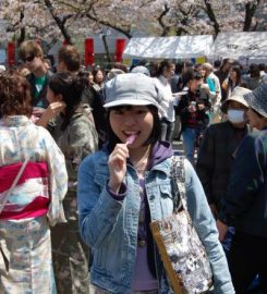 Kanamara Matsuri (Fertility Festival)