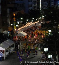 Koenji Awadori Festival