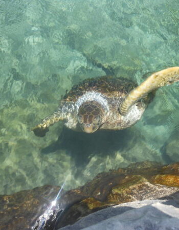 Xcaret