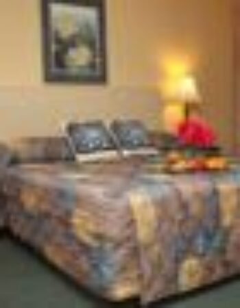 El Adobe Inn