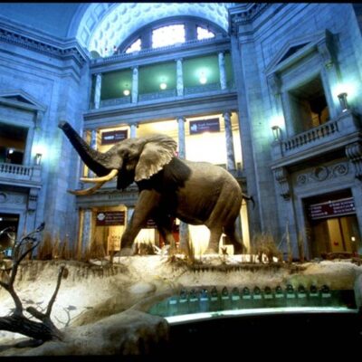 Smithsonian National Museum of Natural History