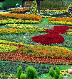 Everland Resort