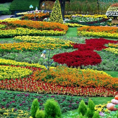 Everland Resort