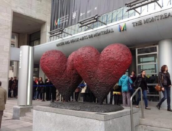 Musee Des Beaux