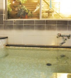 Ryokan Kamogawa Asakusa
