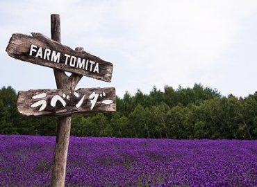 Farm Tomita