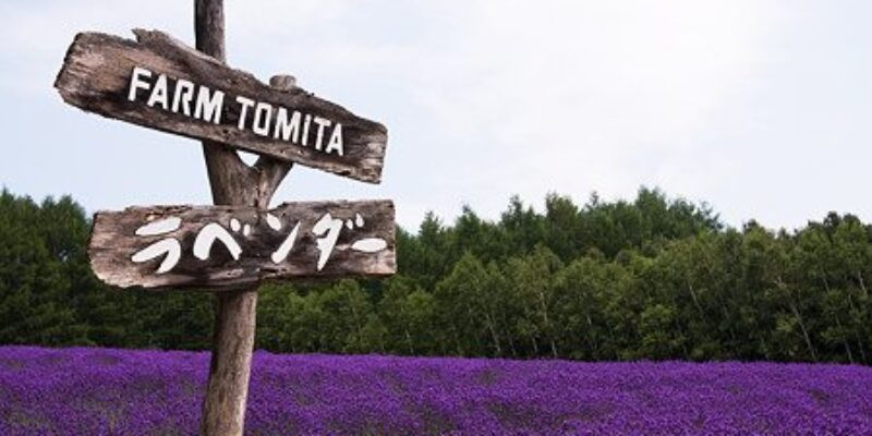 Farm Tomita