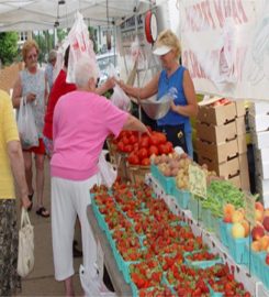 Fredericksburg Farmer’s Market