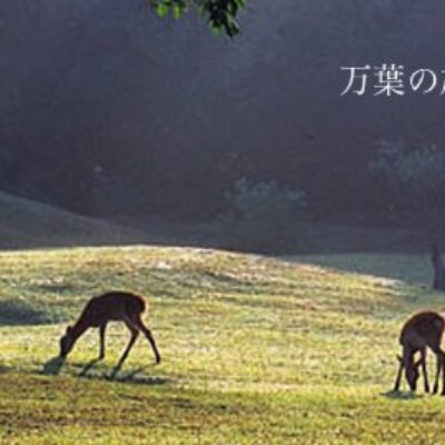 Tenpyou Ryokan