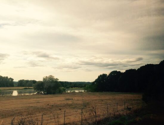 Amtrak Line From Seattle to Portland