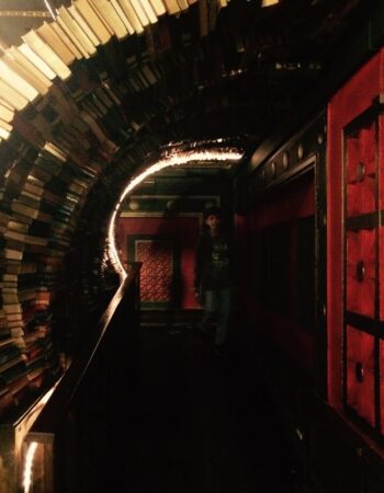 The Last Bookstore