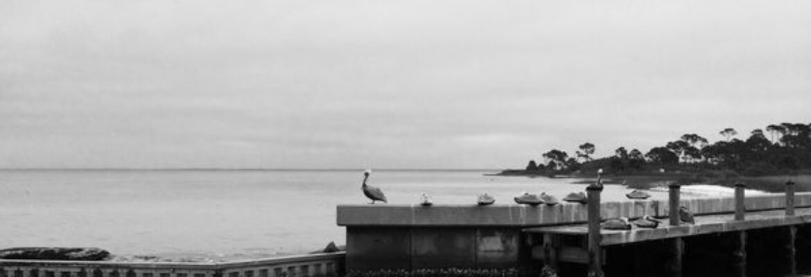 St Joseph Peninsula State Park