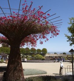 Getty Center