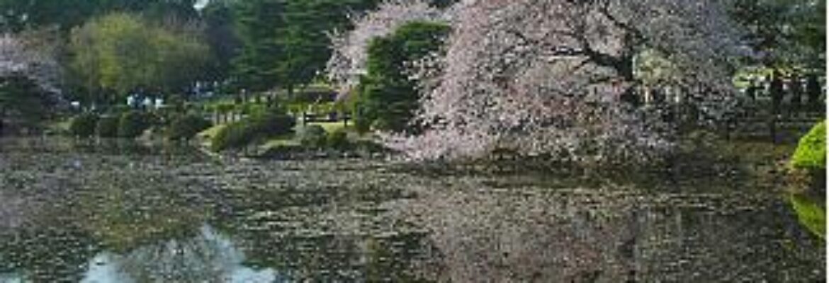 Shinjuku Gyoen