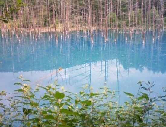 The Blue Pond