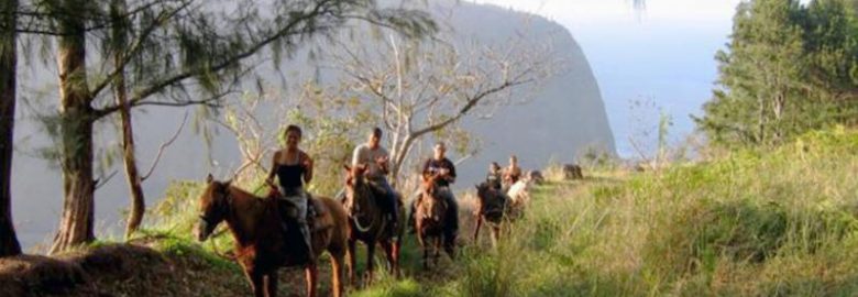 Horseback Ride Above Waipio Valley with Waterfall Swim