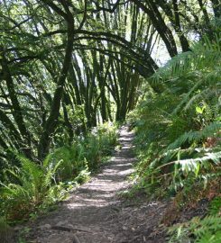 Botanic Regional Preserve