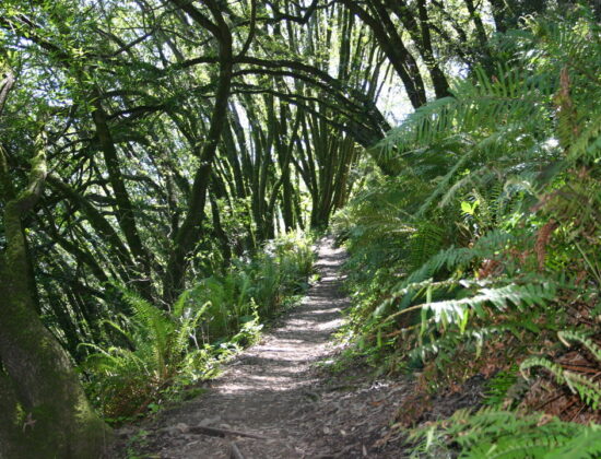 Botanic Regional Preserve