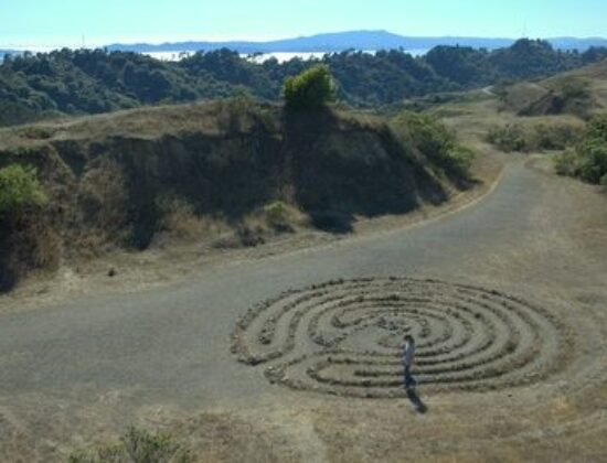 Botanic Regional Preserve
