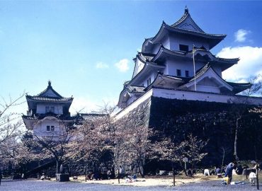 Iga Ueno Castle