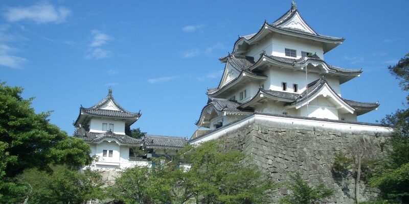 Iga Ueno Castle