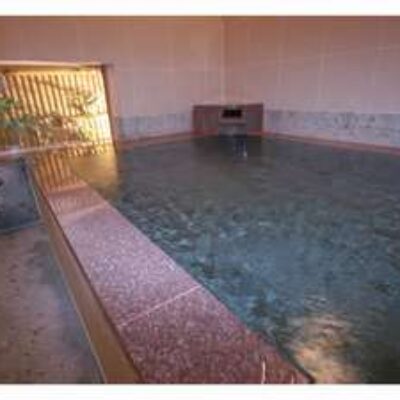 Bansuitei Ikoiso Ryokan