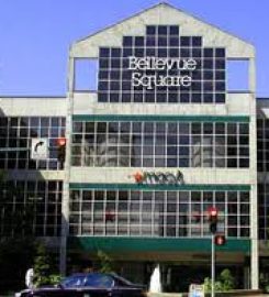 Bellevue Collection