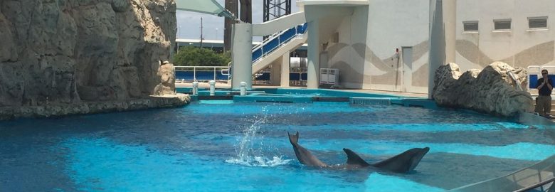 Texas State Aquarium