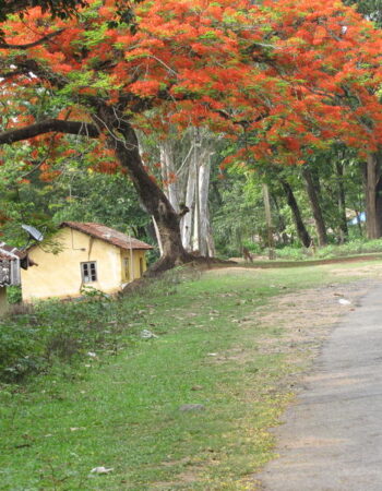 Coorg