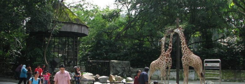 Zoo Negara