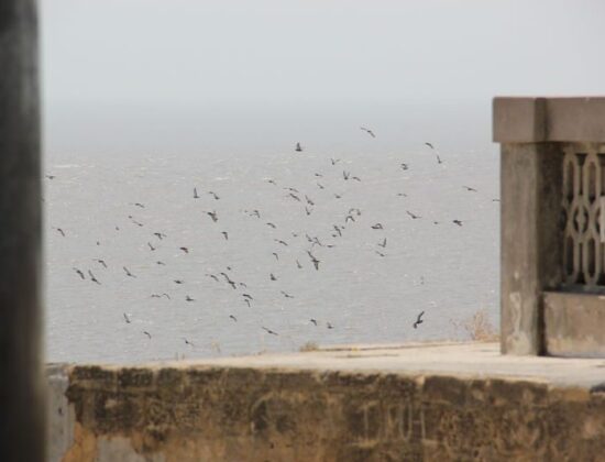 Diu Fort