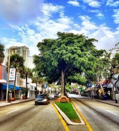 Las Olas Boulevard