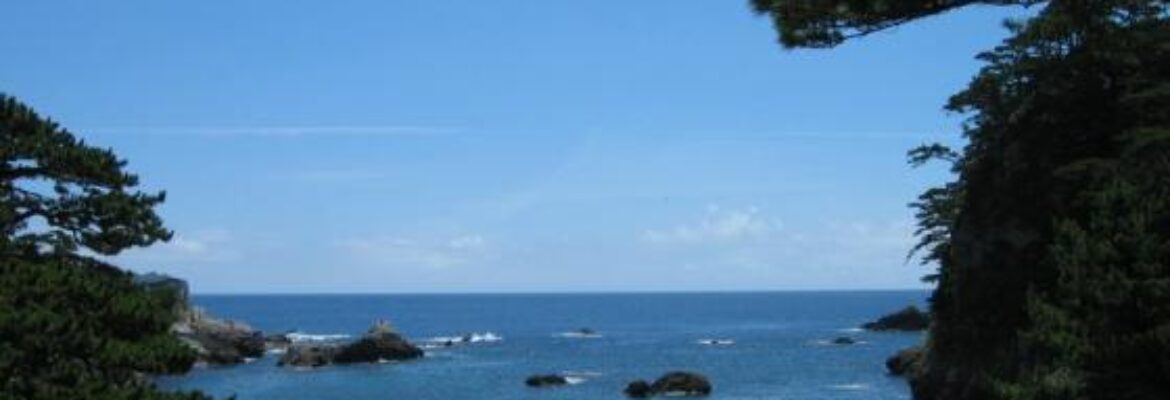 Ishijirogawa Beach