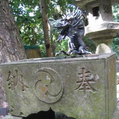 Mikura Jima (Dolphin Island)