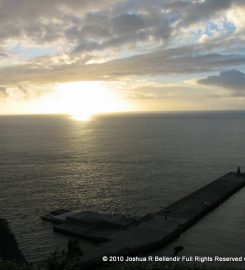 Mikura Jima (Dolphin Island)