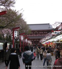 Sensoji Temple